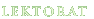 Lektorat