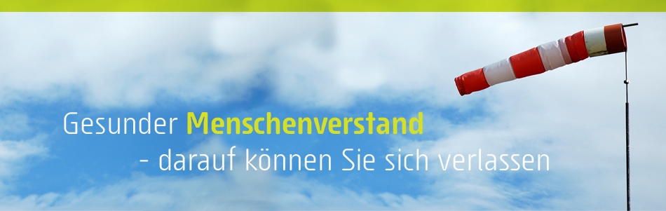 Gesunder Menschenverstand
